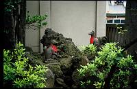 japan167 
