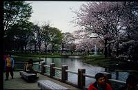 japan173 