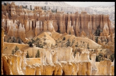 bryce0223
