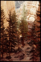 bryce0226