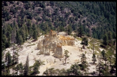 bryce0262
