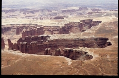 canyonlands0313