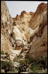 capitolreef0286