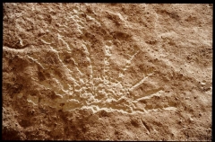 capitolreef0287