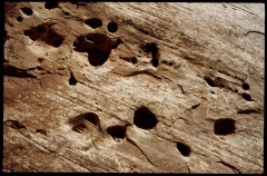 capitolreef0289