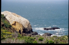 calif0030