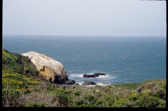 calif0031