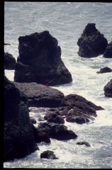 calif0034