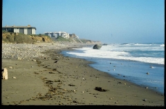 sansimeon0555