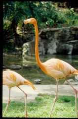 zoo0511