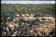 mesaverde0359