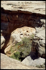 naturalbridges0380