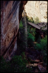 calif0180