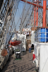 Sedov