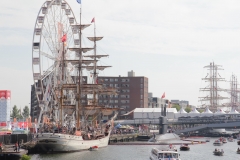 Europa & Zr Ms Bruinvis
