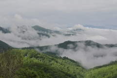 Blue Ridge Parkway