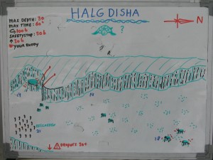 Halg_Disha_map