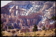 bryce0212