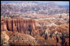 bryce0216