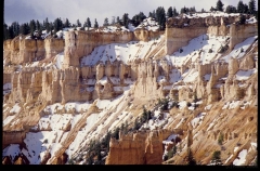 bryce0218