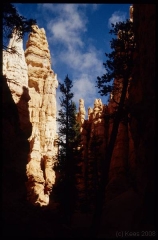 bryce0232