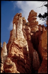 bryce0237