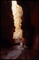 bryce0242