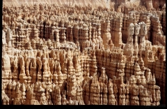 bryce0246