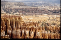 bryce0247