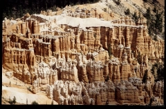 bryce0249