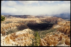 bryce0251