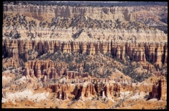 bryce0252