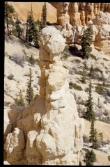 bryce0253