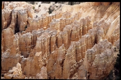 bryce0255