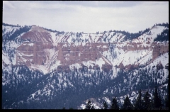 bryce0258