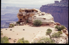 canyonlands0300