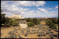 canyonlands0306