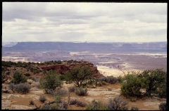 canyonlands0307