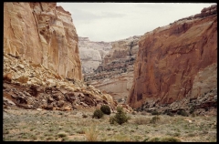 capitolreef0282