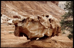 capitolreef0284