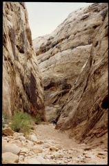 capitolreef0288