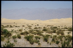 deathvalley0130