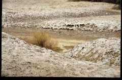 deathvalley0141