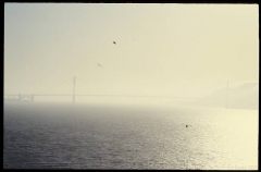 calif0653