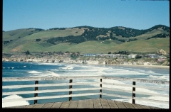 pismobeach0545