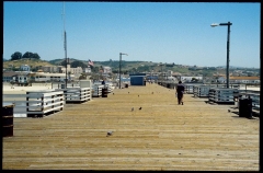 pismobeach0546