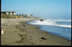 sansimeon0555