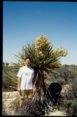 joshuatreeNP0472