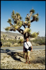 joshuatreeNP0490