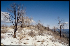 mesaverde0345